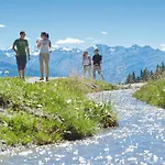Apartment Les Aiguilles Vertes Rez Superieur By Interhome Crans-Montana