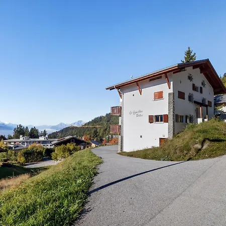 Les Aiguilles Vertes Rez Superieur By Interhome Crans-Montana